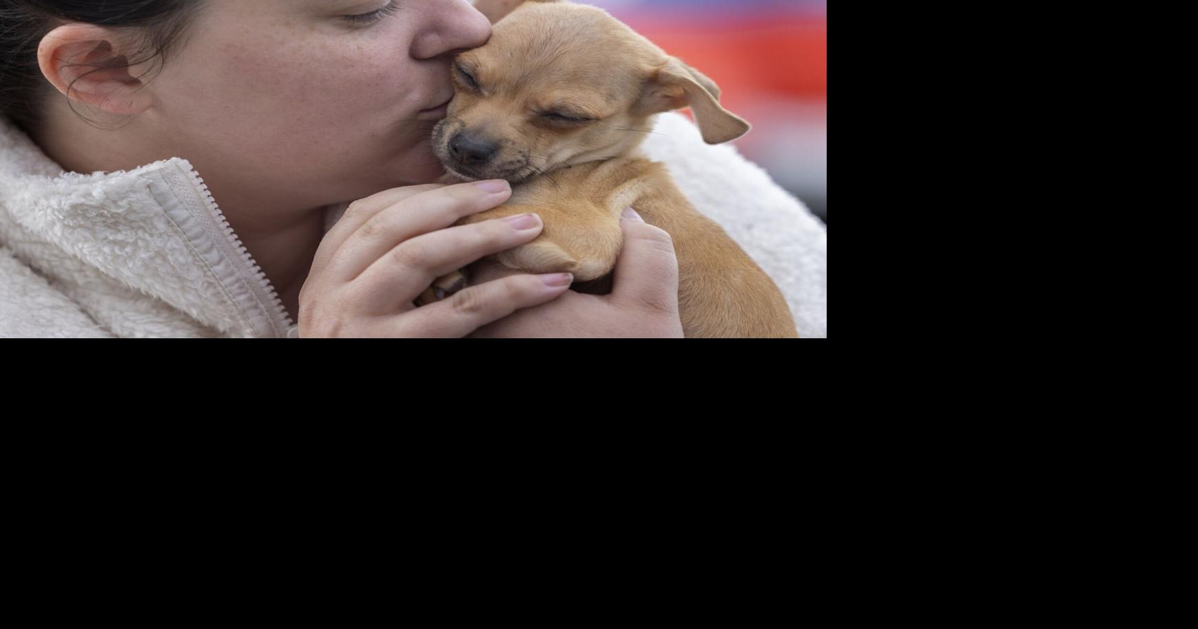 Washington's pet food banks see surging demand amid layoffs, high costs