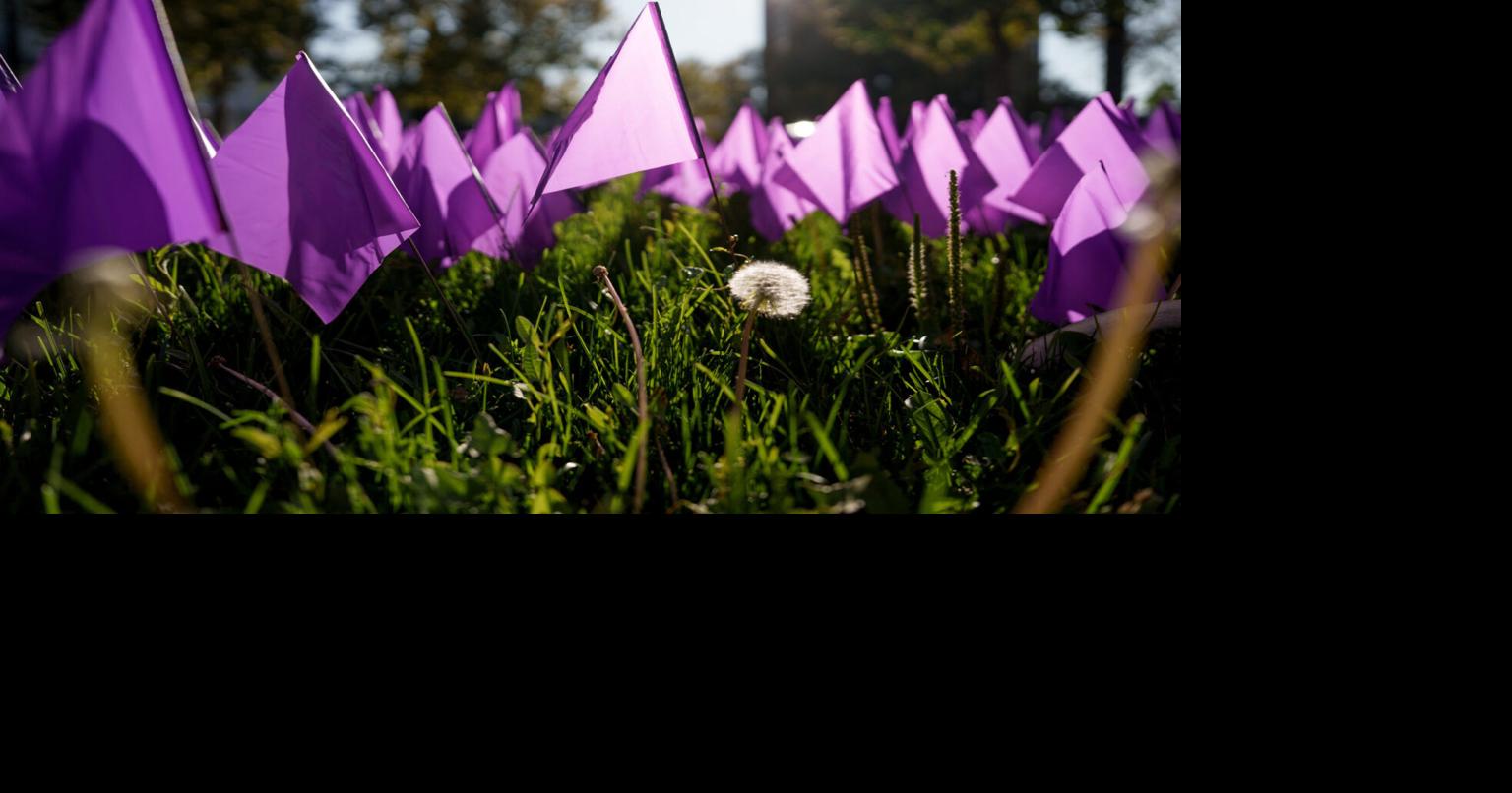 What $150 million in withheld federal funding means for domestic violence services