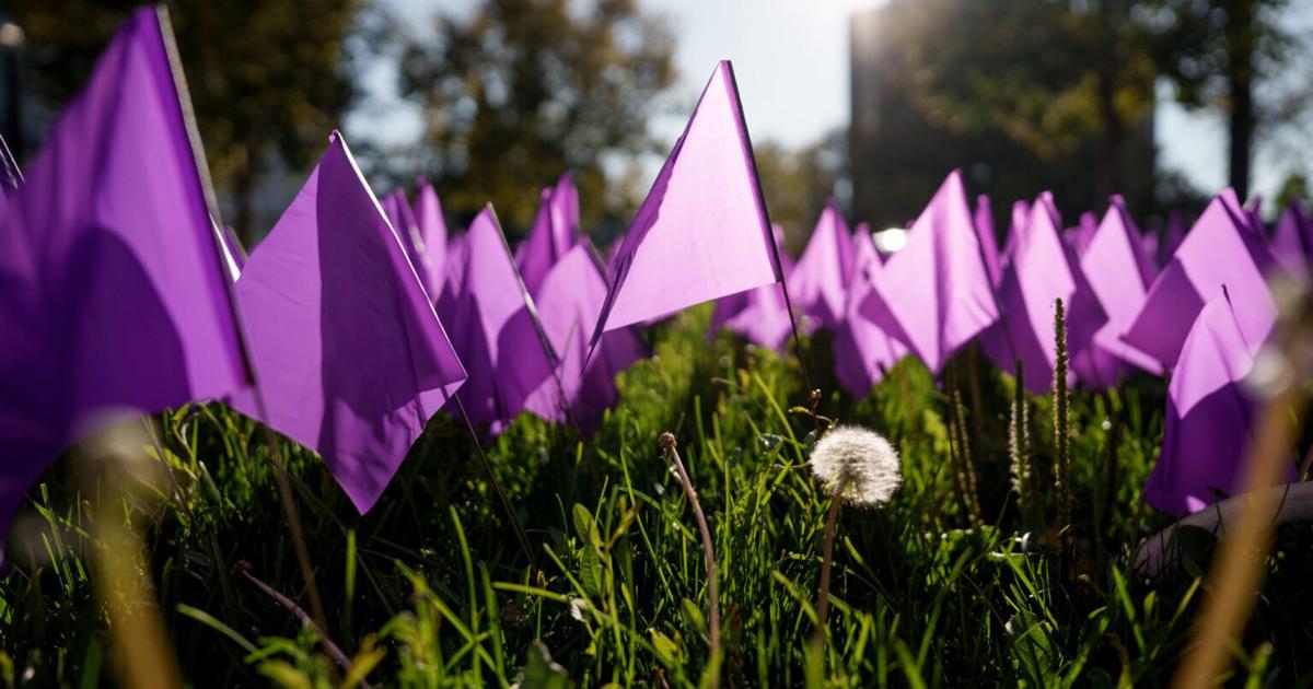 What $150 million in withheld federal funding means for domestic violence services