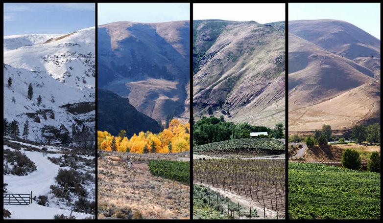 Raisin’ in the Sun: Wine Grapes & Solar Power