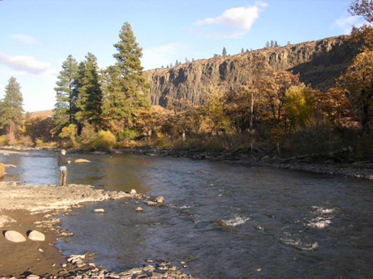 Tieton, Naches rivers and their tributaries offer underrated trout fishing  | Outdoors | yakimaherald.com