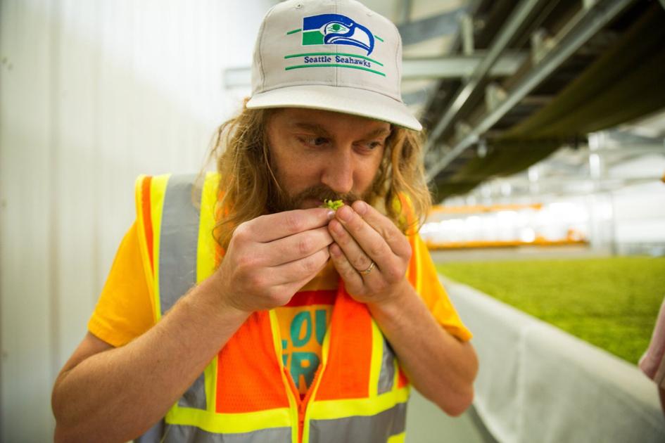 Seattle brewery wins ‘Brewery and Brewer of the Year.’ Sunnyside brewery among 22 Washington medal winners | Local