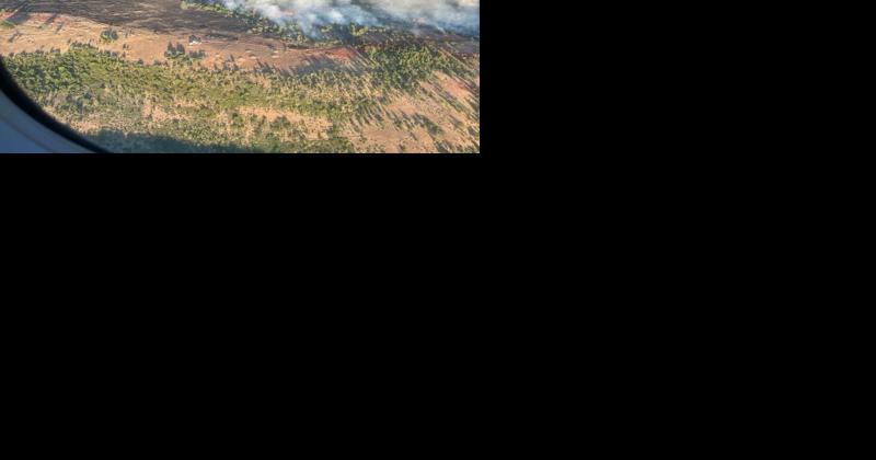 Containment lines hold as temperatures drop and winds slow at Newell Road fire - Vimarsana News