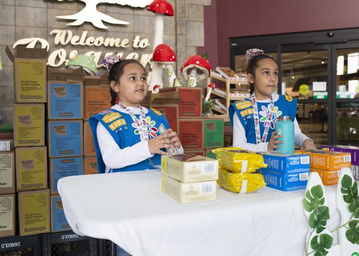 More than tasty treats Girl Scout cookie season is underway in the