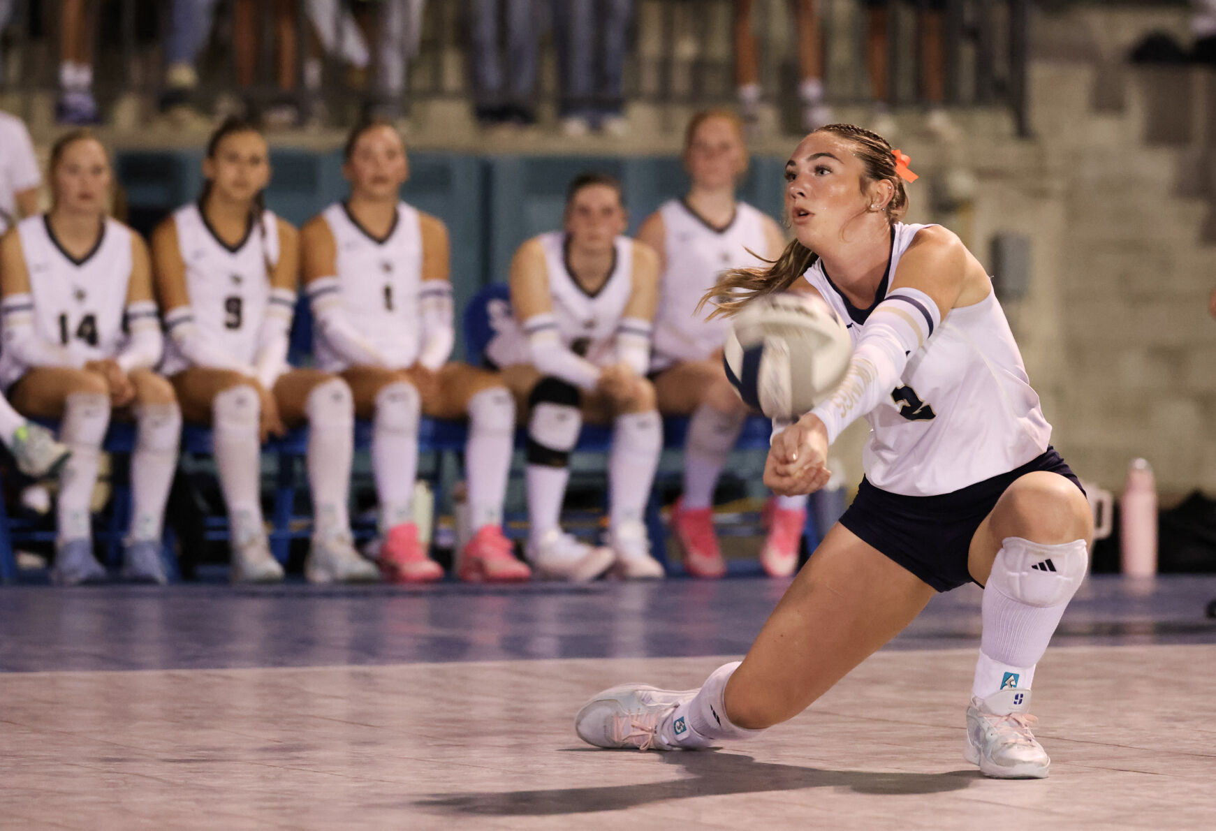 Shurtleff, Roseberry lead 10 Valley athletes named to all-state ...