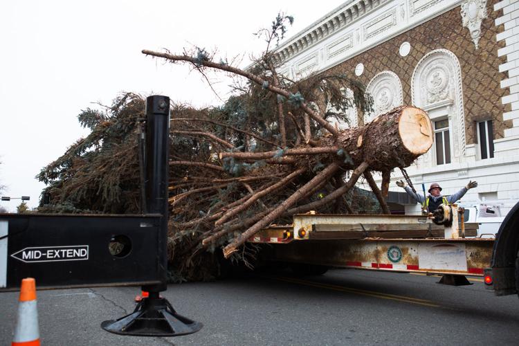 PHOTOS 2021 Yakima community Christmas tree Photos and Videos