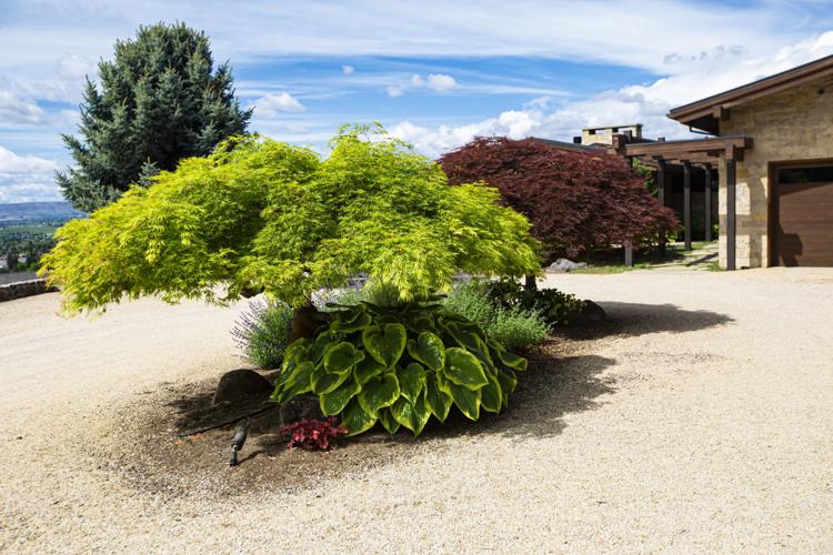 Chad Atkins grew his landscaping service from the ground up Magazine