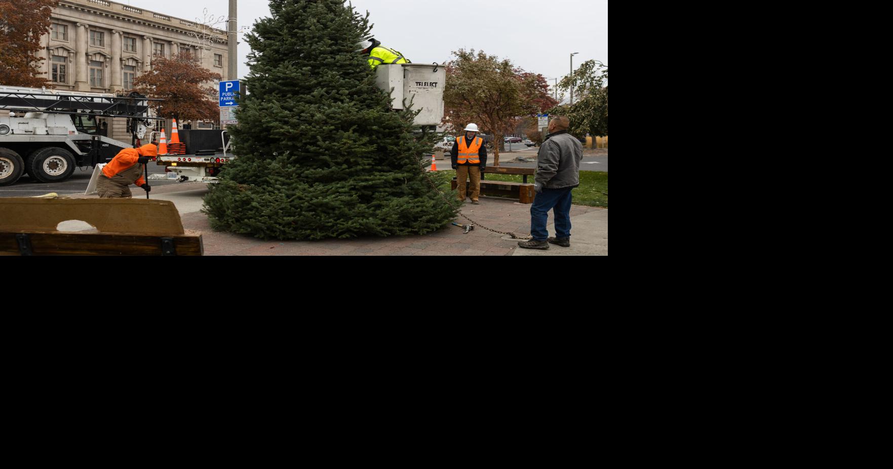 Yakima's community Christmas tree is installed at Millennium Plaza