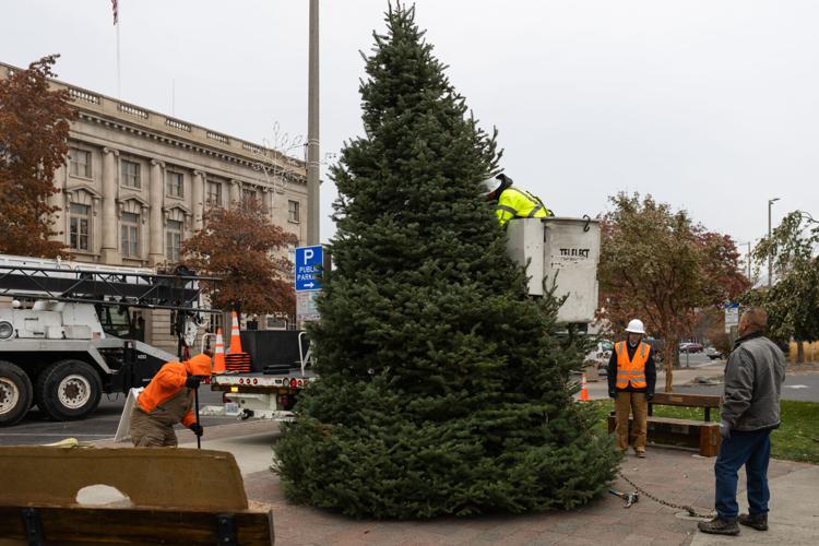 Yakima’s community Christmas tree arrives at Millennium Plaza Local
