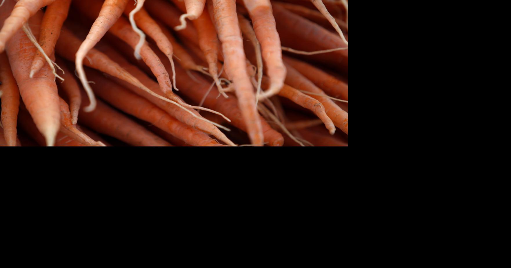 Master Gardeners Cultivating colorful carrots Home And Garden