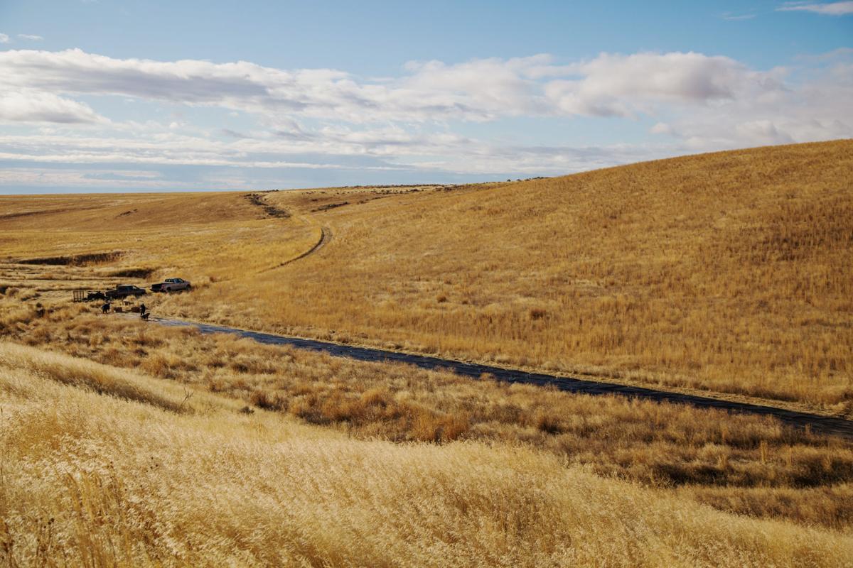 Privatepublic collaboration restores habitat in Washington Local