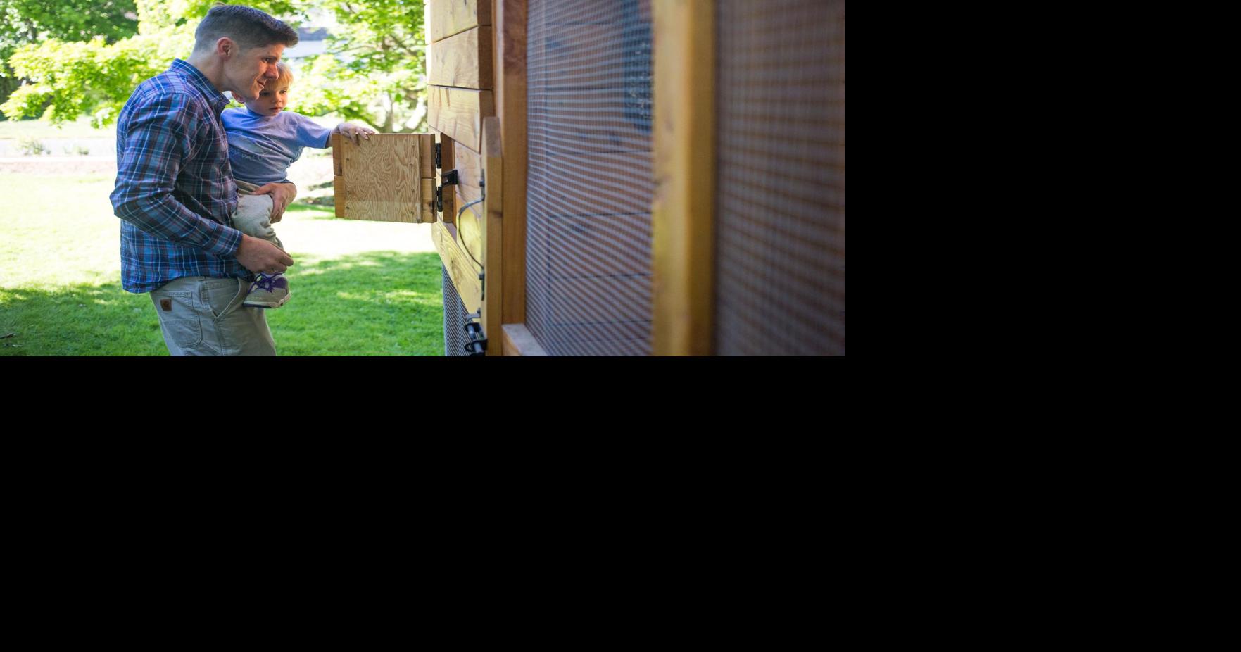 Barnyard to backyard Chicken coops more common in Yakima Valley Local