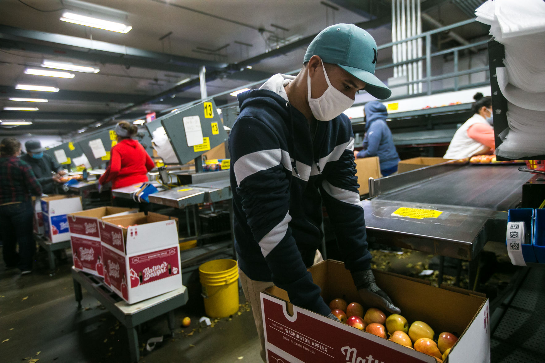 Central Washington agriculture faces new hurdles with COVID-19 - Vimarsana News