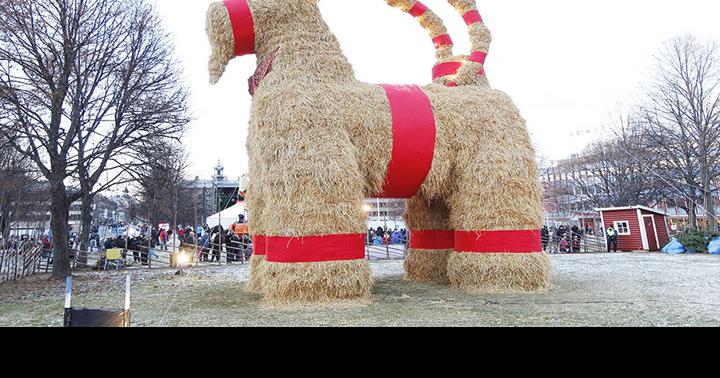 Sweedish Christmas Goat 2022 Goats, Spiders And Roller Skates? Christmas Traditions Take Interesting  Turns Around The World | News | Yakimaherald.com