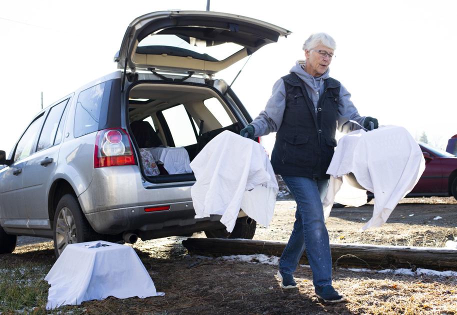 Independent Efforts Struggle To Keep Up With Population Of Feral