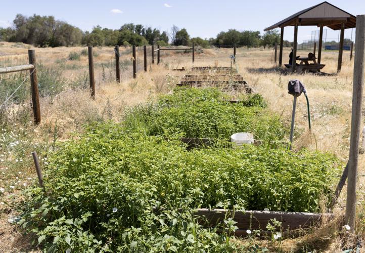 Sisters lead effort to revive Wapato Community Garden Local