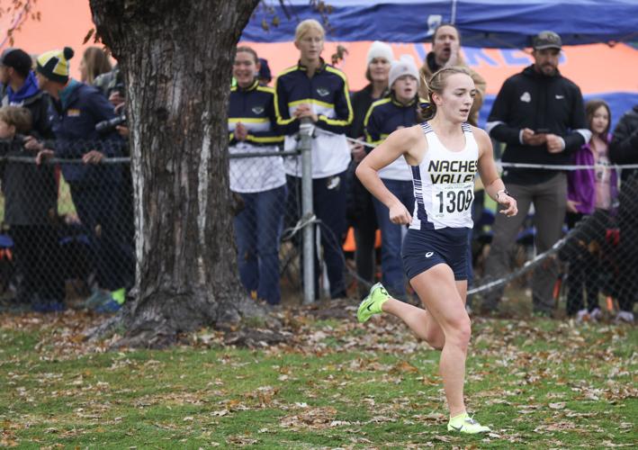 West Valley leads Valley with 10 fall Athlete of the Year finalists ...