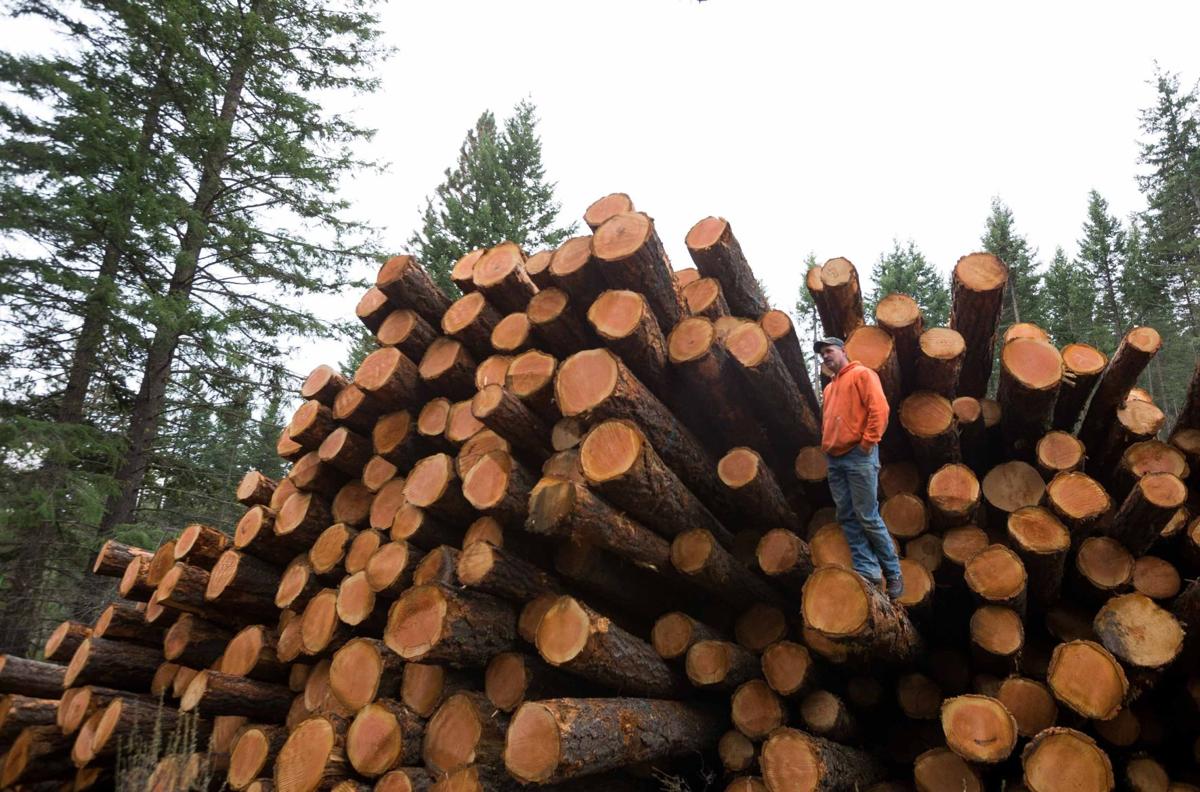 Future Full Of Doubt For Central Washington Timber Industry