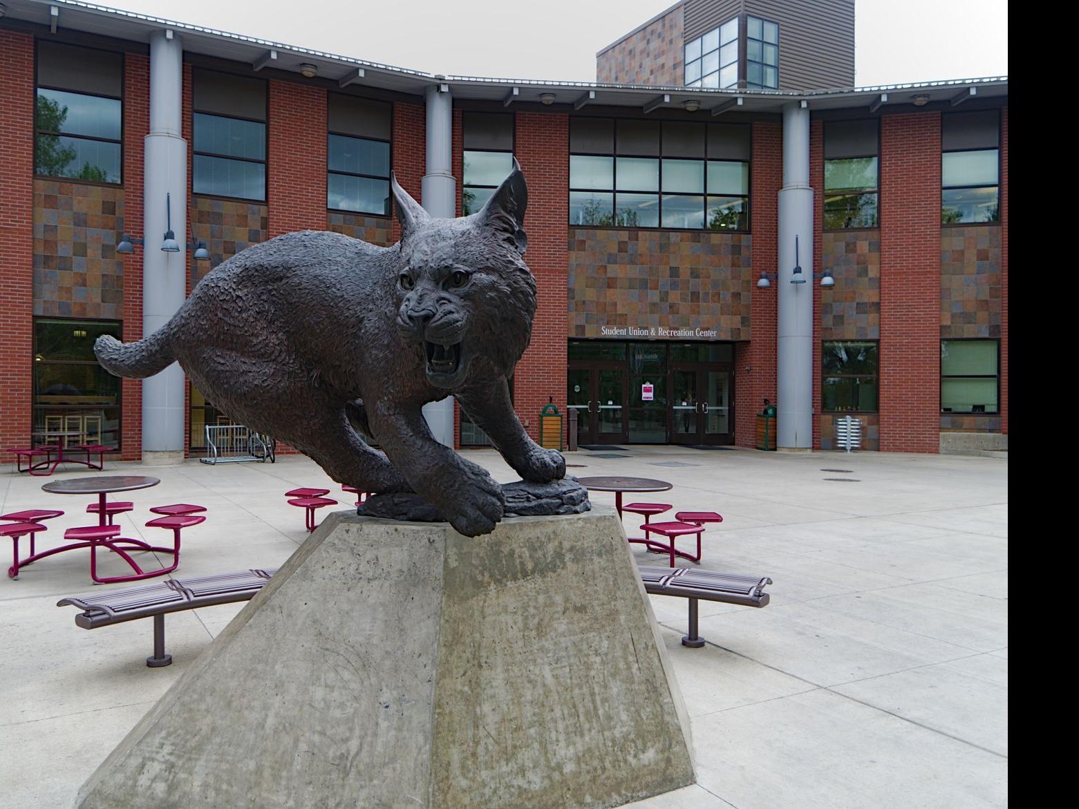 Cwu Fall Enrollment Dips Slightly, Despite Record High In Applications | Local | Yakimaherald.com