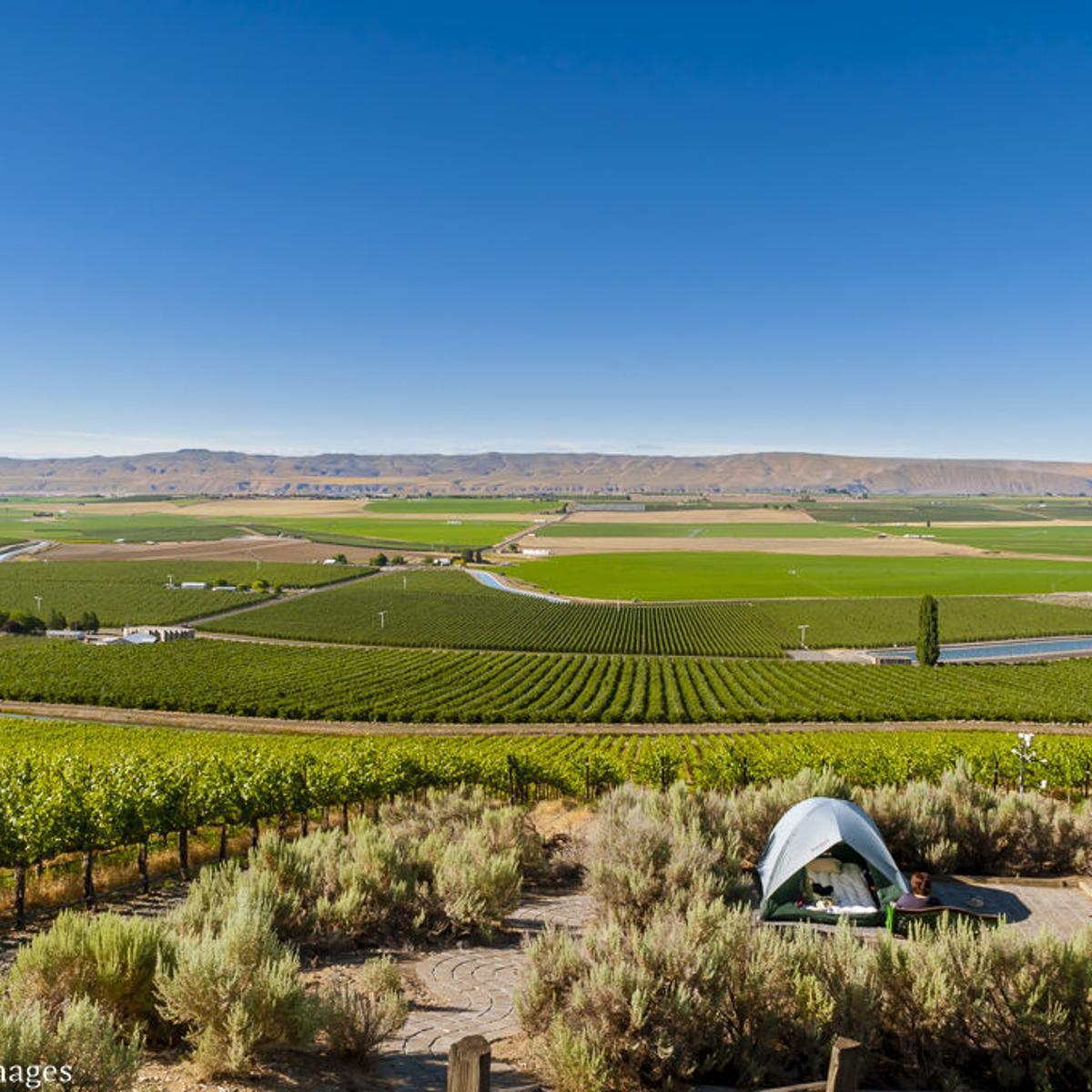 Northwest Wine: Federal officials establish Royal Slope AVA ...