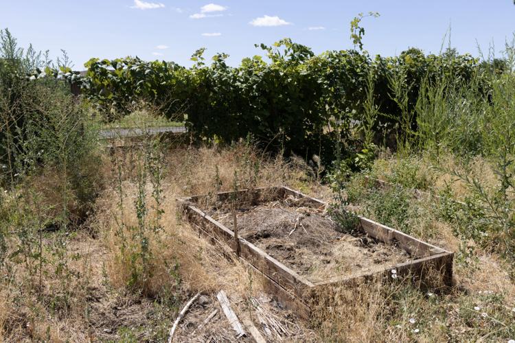 Sisters lead effort to revive Wapato Community Garden Local