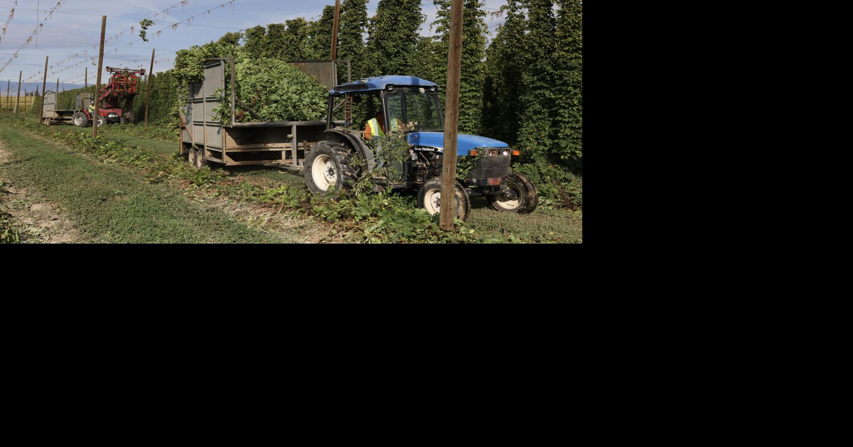 Northwest farmers face rising fertilizer, diesel costs from Iran war