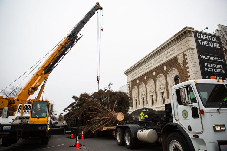 PHOTOS 2021 Yakima community Christmas tree Photos and Videos