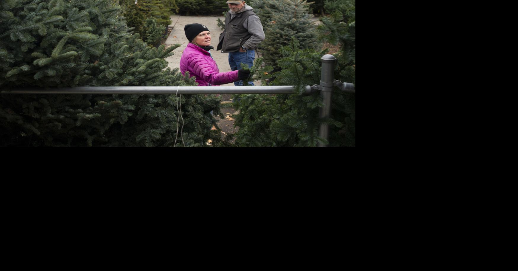 Christmas trees flying off Yakima Valley lots Business