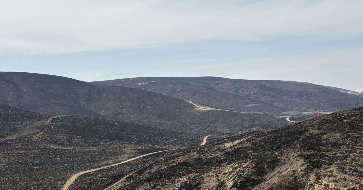 Guest Commentary: This year's fires underscore importance of prevention measures