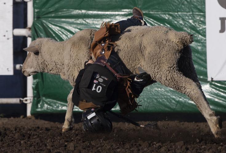 PHOTOS 87th annual Toppenish Rodeo Photos and Videos