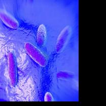 Residents from both sides of Washington sickened with salmonella linked to supplement