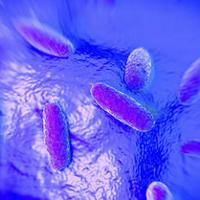 Residents from both sides of Washington sickened with salmonella linked to supplement