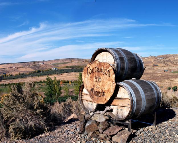 Raisin’ in the Sun: Wine Grapes & Solar Power