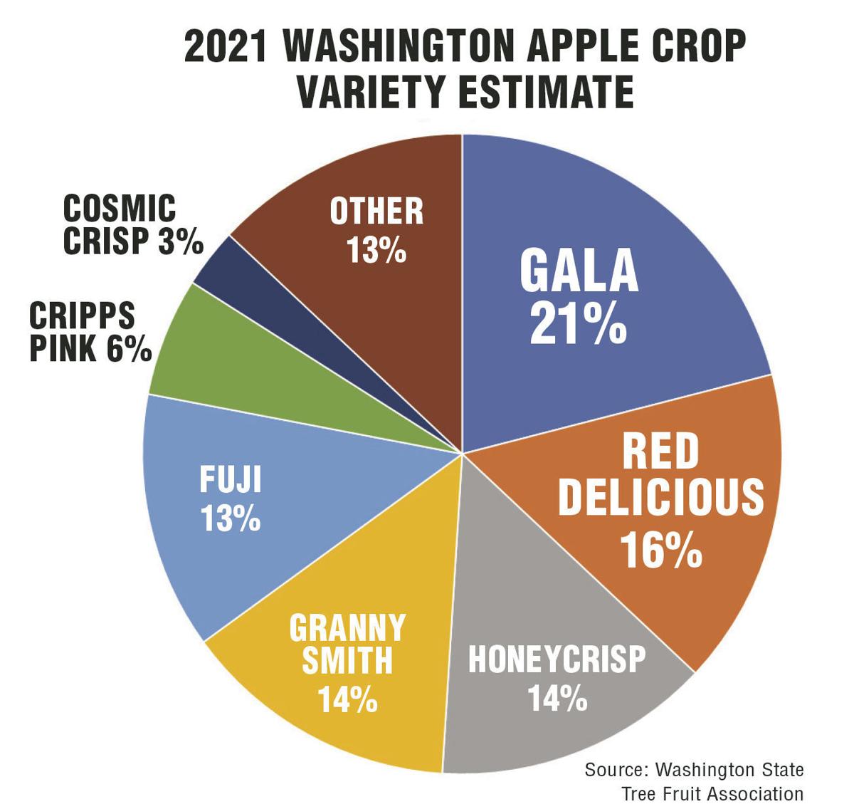 Apple variety estimate for Washington state in 2021