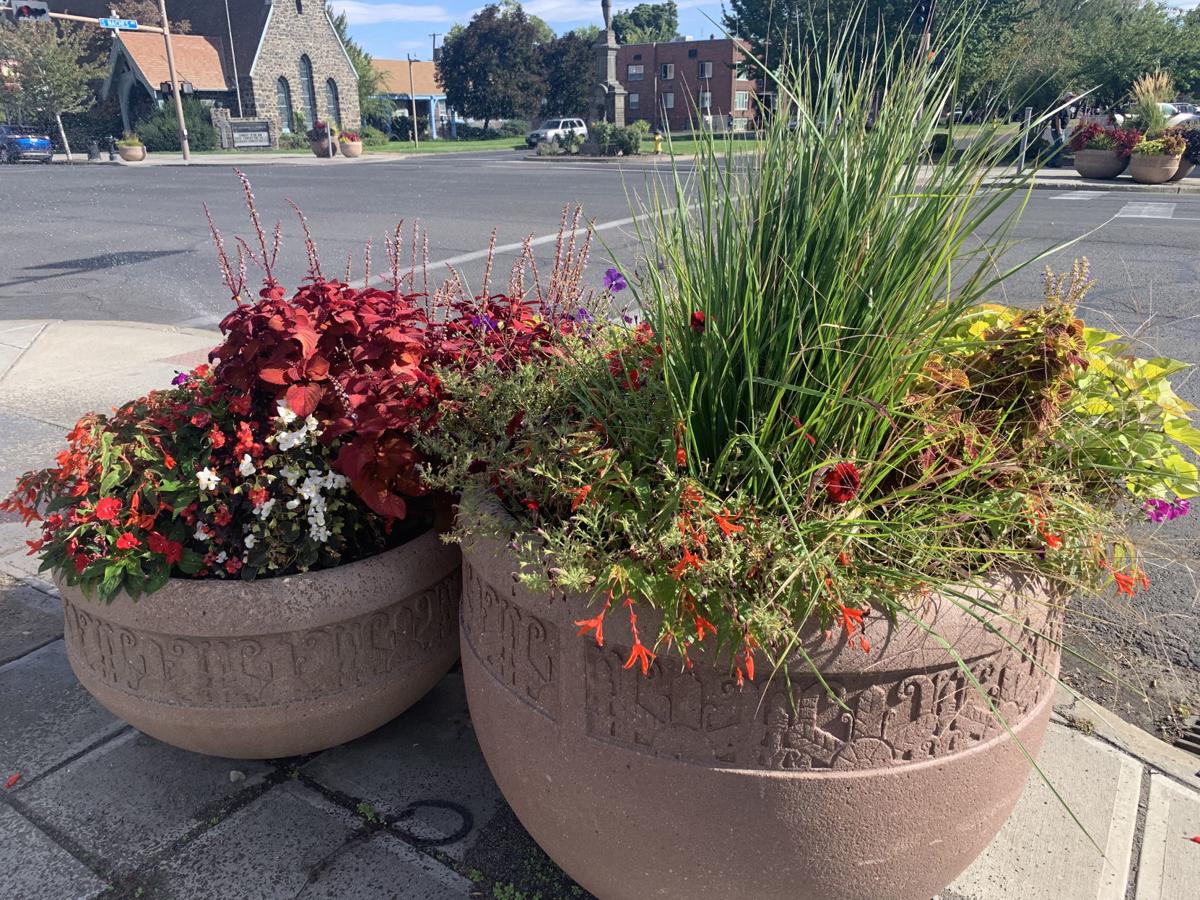 A Thriller, a Filler and a Faller Yakima's Planters and Hanging Pots