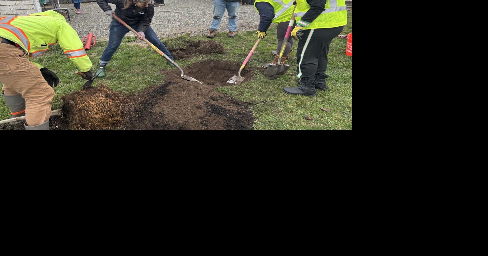State program that pays to plant trees in Tacoma, elsewhere faces elimination