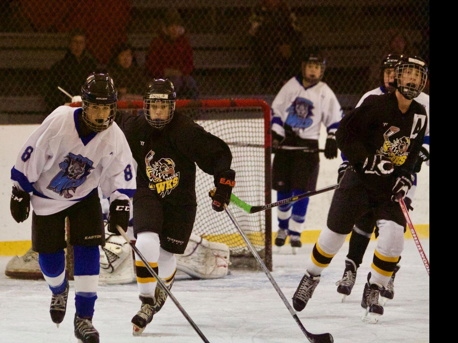 Yakima Ice Rink Invites Kids To Try Hockey For Free Day Local Yakimaherald Com