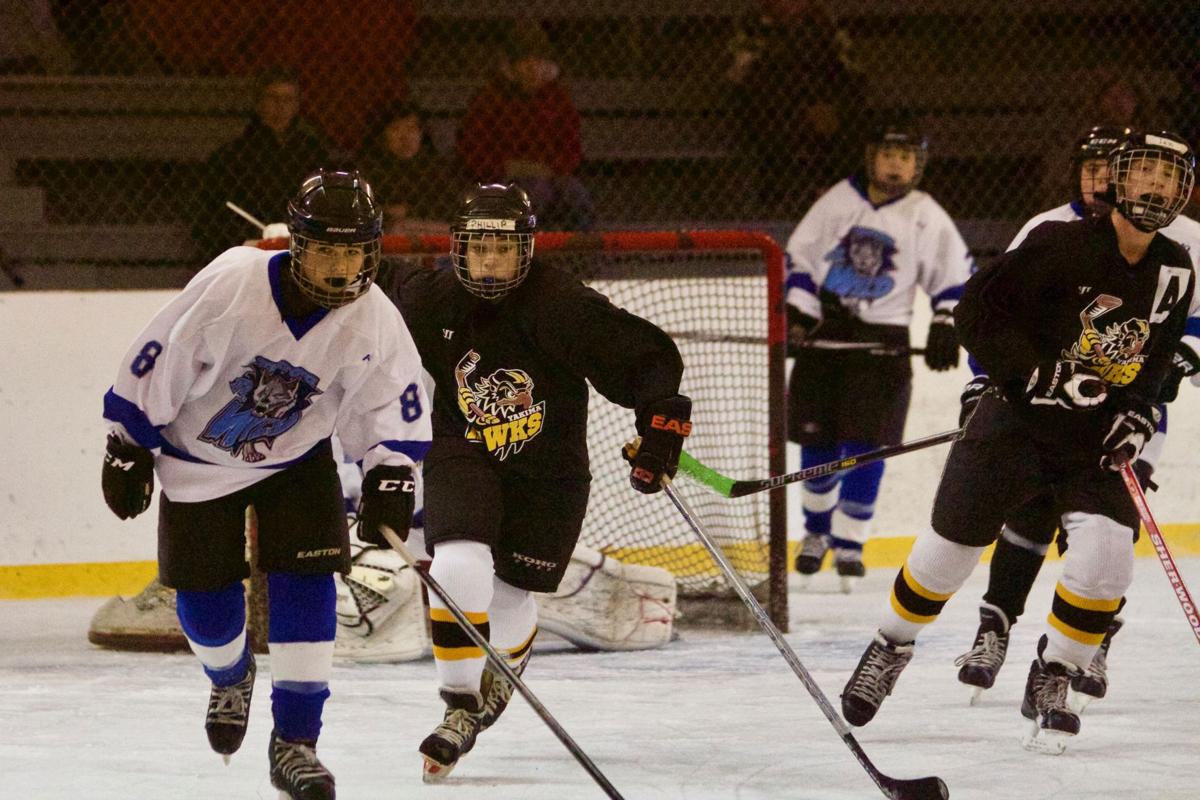 Yakima Ice Rink invites kids to "Try Hockey For Free Day" Local