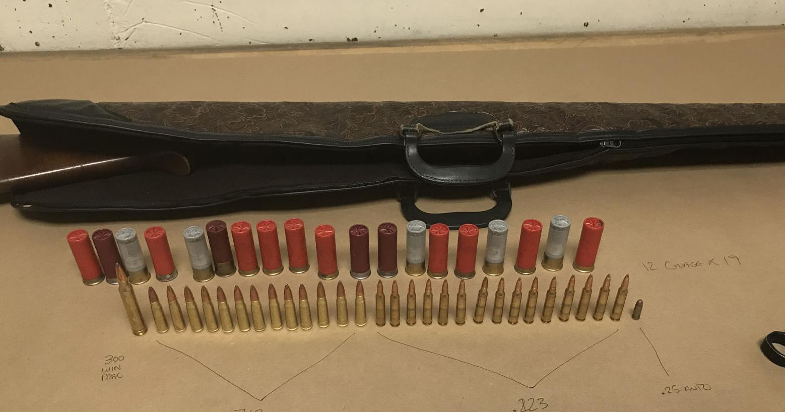 Why many judges in Washington aren't ordering alleged abusers to turn in guns | Northwest - Vimarsana News