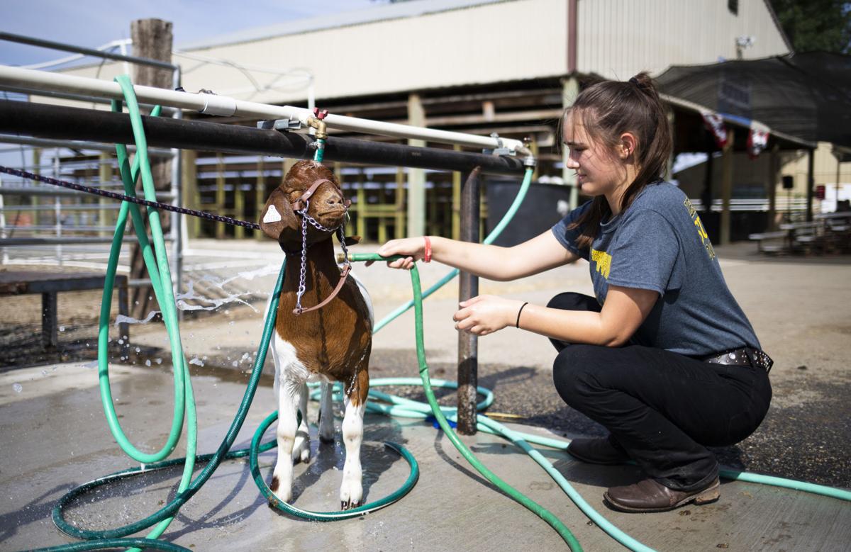 Photos Yakima Valley Fair 2019 Photos and Videos