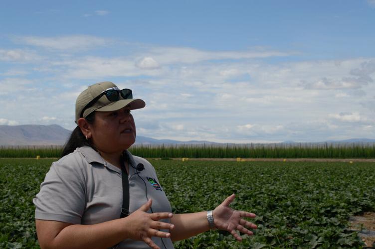 Yakama Nation Farms