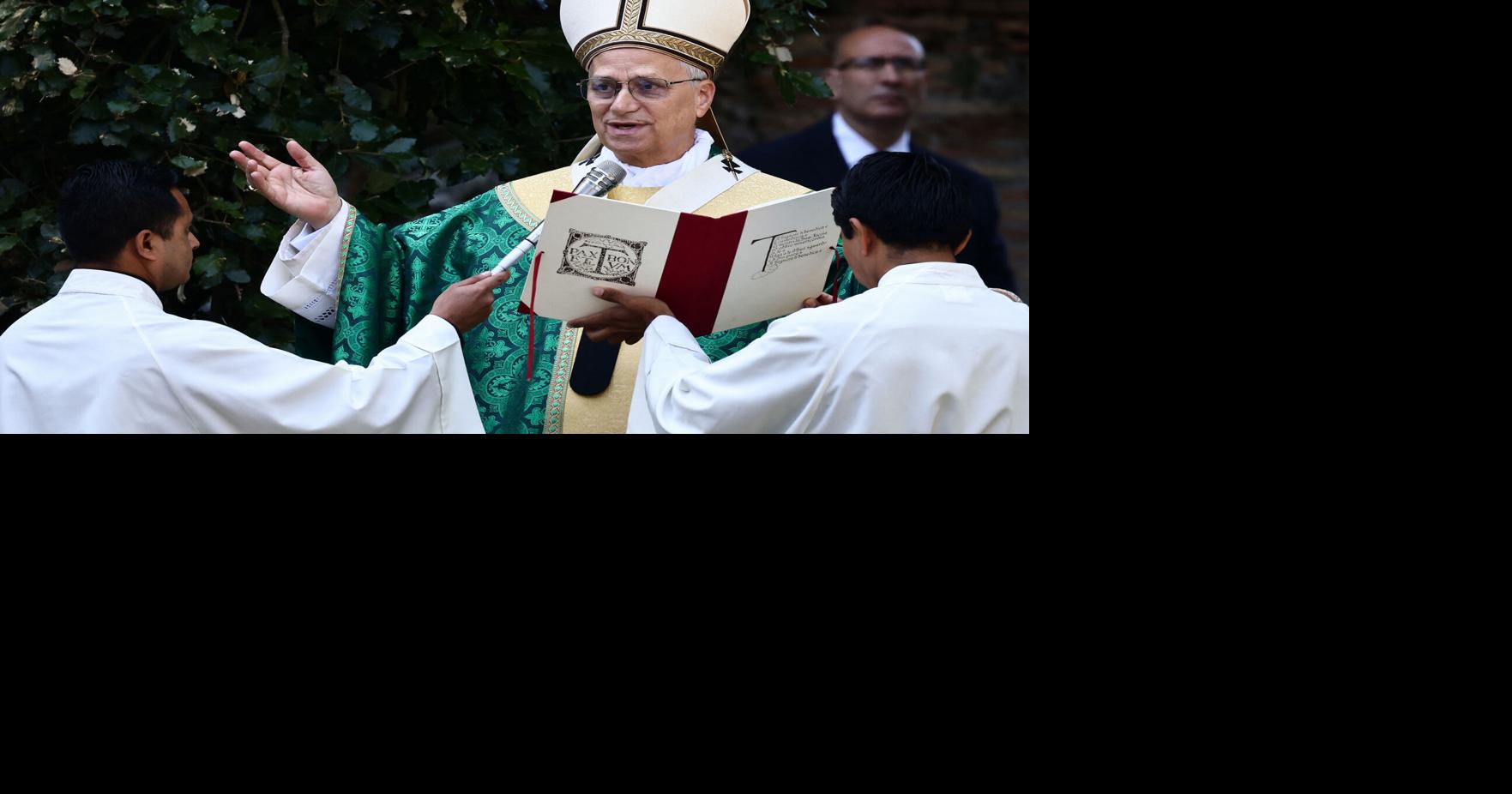 Column: Pope Leo is becoming the climate champion we need