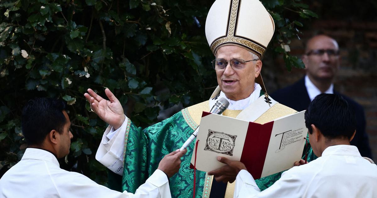 Column: Pope Leo is becoming the climate champion we need