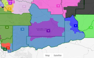 Washington state redistricting proposal Map 1