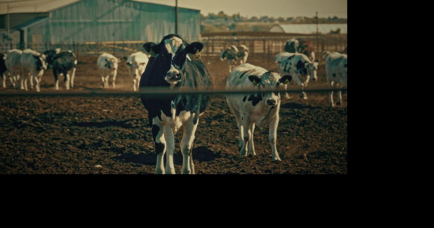 New documentary on ag pollution in Yakima Valley draws industry criticism