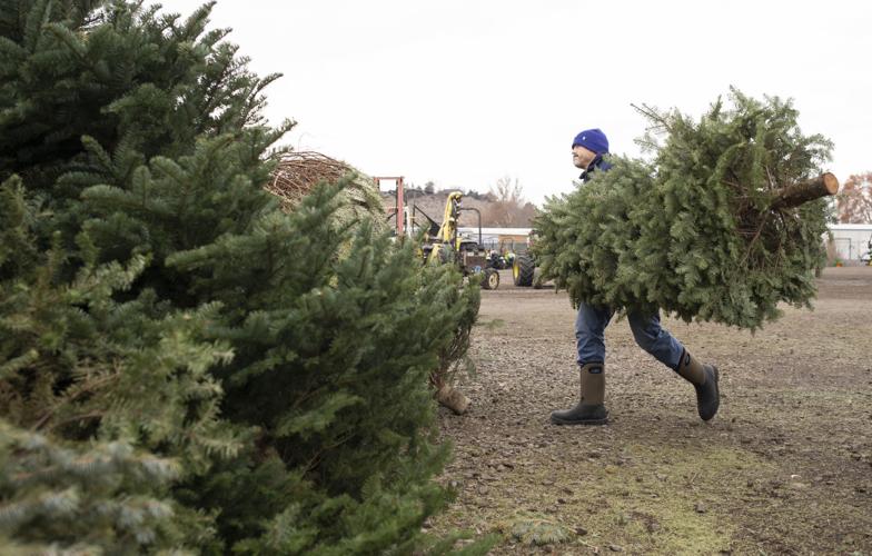 Yakima residents have options for removing or recycling Christmas trees