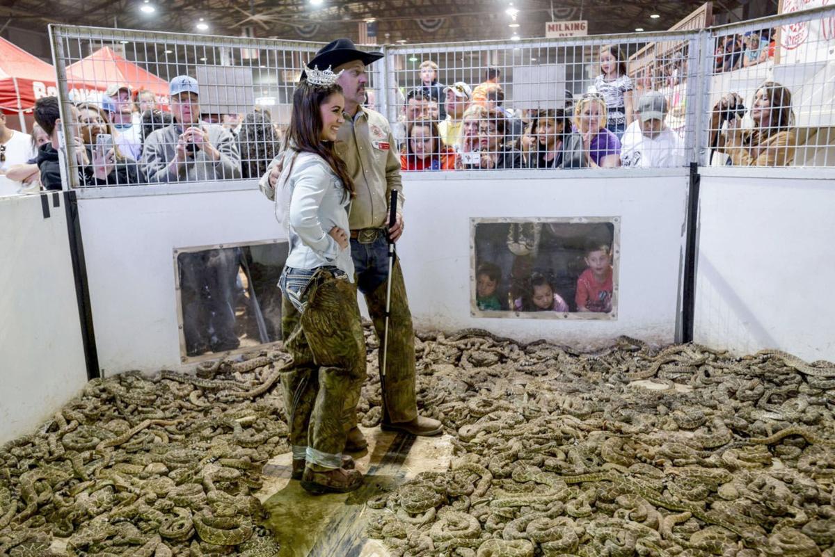 How to kill thousands of rattlesnakes in just four days Lifestyle