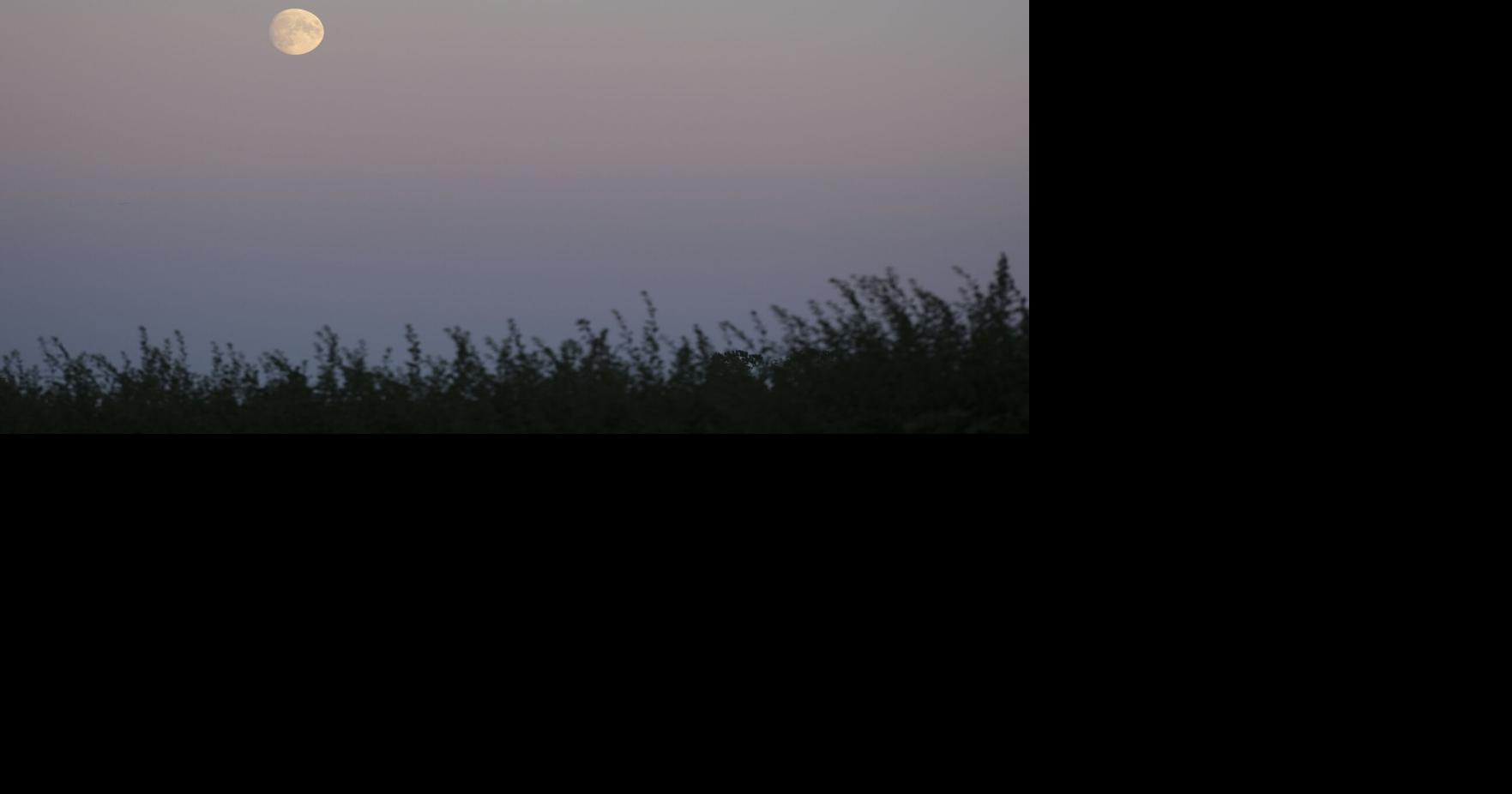 Barany in the garden: Gardening by the moon: Ancient tradition meets modern science