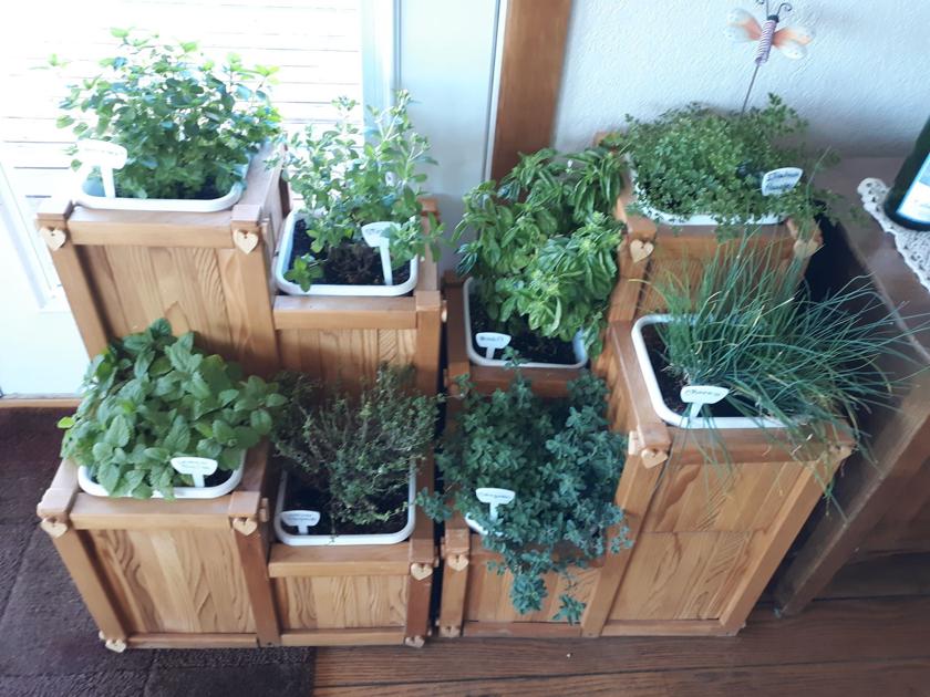 Master Gardeners: Herbs for the winter | Home and Garden