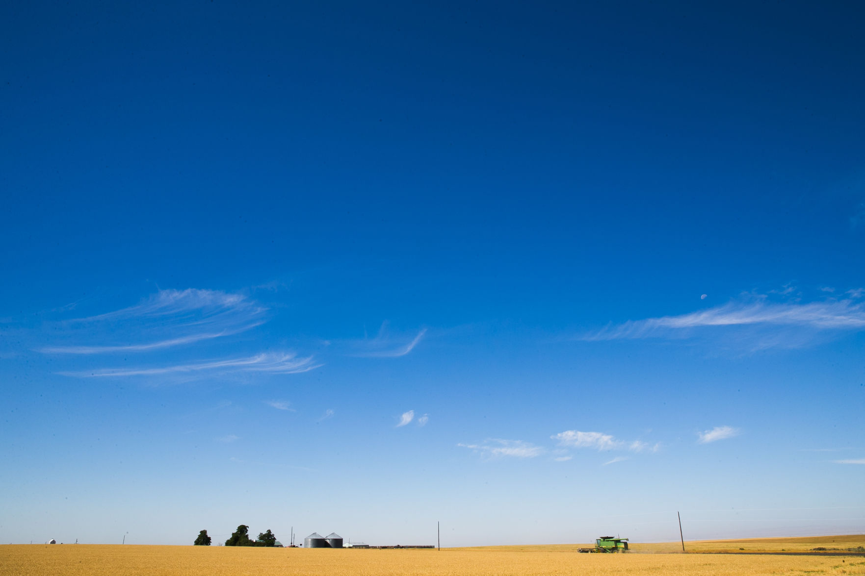 horse heaven hills vet